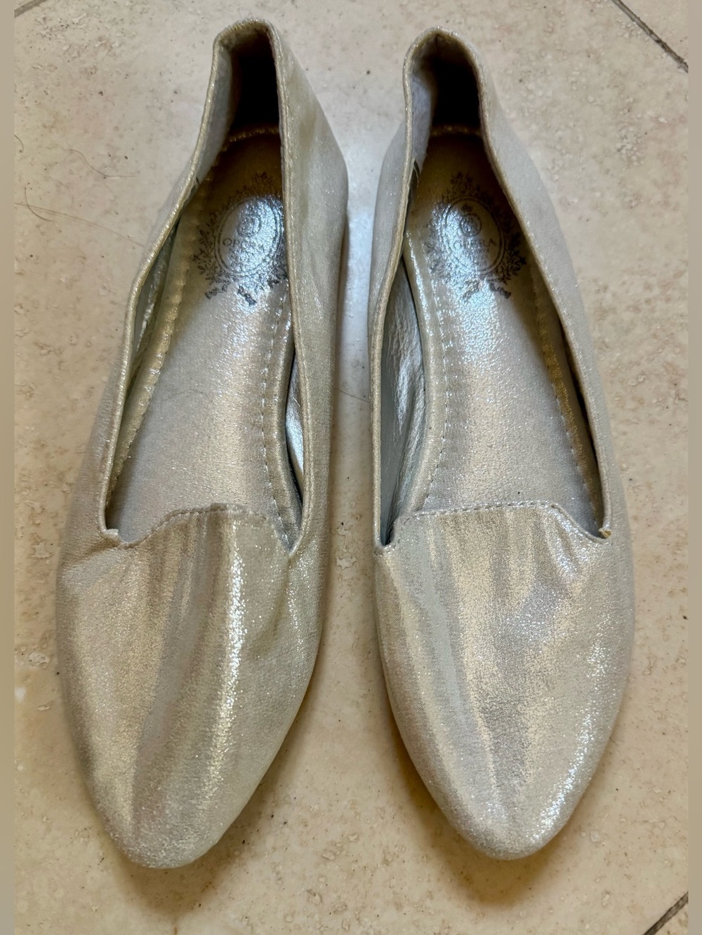 Women's Shimmery Silver Pointed Toe Flats